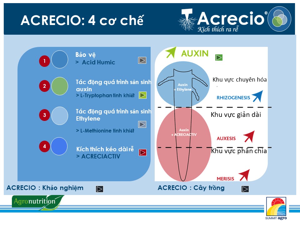 Phân bón hữu cơ cao cấp Acrecio - Can 5 lít